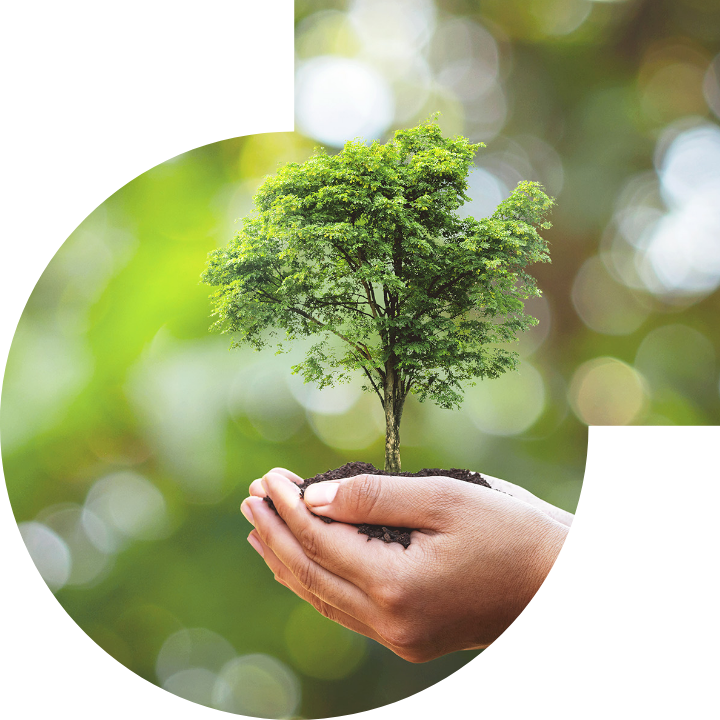 关怀人类、文化、环境与社会